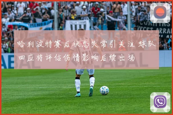 哈利波特赛后状态失常引关注 球队回应将评估伤情影响后续出场