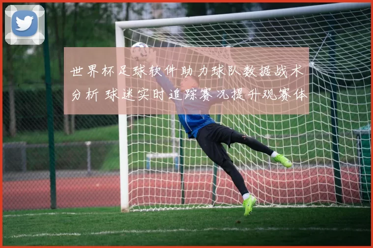 世界杯足球软件助力球队数据战术分析 球迷实时追踪赛况提升观赛体验