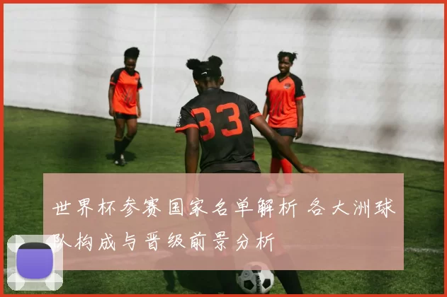 世界杯参赛国家名单解析 各大洲球队构成与晋级前景分析