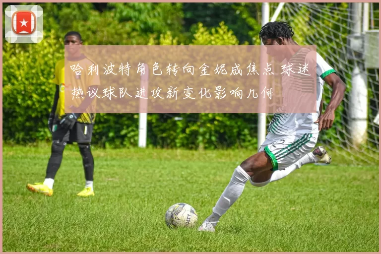 哈利波特角色转向金妮成焦点 球迷热议球队进攻新变化影响几何