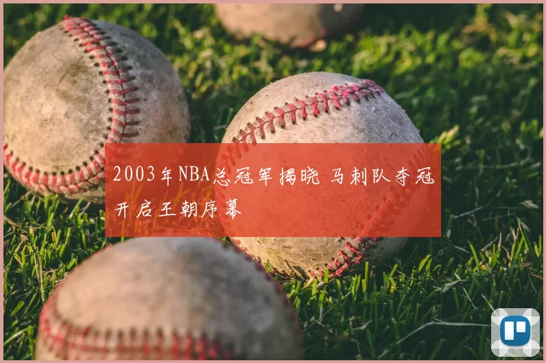 2003年NBA总冠军揭晓 马刺队夺冠开启王朝序幕