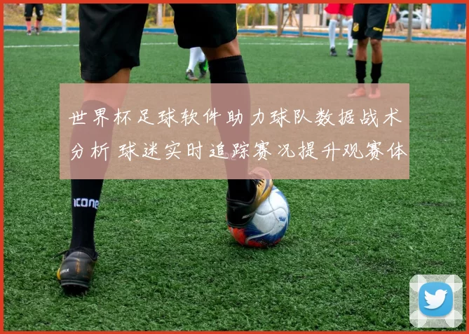 世界杯足球软件助力球队数据战术分析 球迷实时追踪赛况提升观赛体验